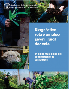 Diagnóstico sobre empleo juvenil rural decente (portada)